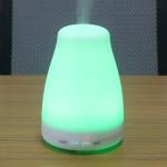 Electric Sprayer Plug In Aromatherapy Diffuser Essential Oil Air Diffuser