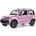 Maximum Speed 102KM/H Pure Electric Car HRS1 Maximum Pure Electric Range Up To
