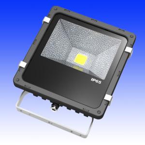 Quality 20 watt led floodlights |outdoor lighting| LED lighting fixtures wholesale