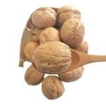Fresh Raw Xinjiang 185 Walnut Light Amber Color In Shell Wholesale Price For