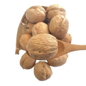 Quality Fresh Raw Xinjiang 185 Walnut Light Amber Color In Shell Wholesale Price For Sale Amazon’s best-selling products wholesale