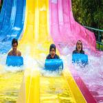 Adult Rainbow Fiberglass Water Slide For Resort Park