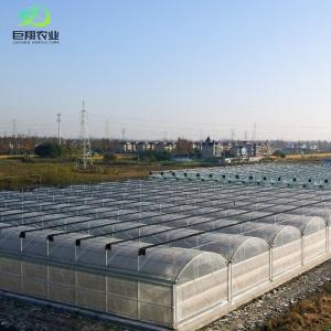 Quality 100% Blackout Automatic Light Deprivation Greenhouse for Canada / USA Request Sample wholesale