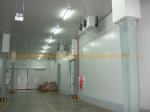 Customization Commercial Container Cold Room Equipment Manufactures for Air
