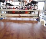 Siemens Motor PVC Crust Foam Sheet Extruder For Advertisement Board