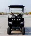 2+2 Person Modern Golf Cart Fast Electric Mini Mobility Steering Hunting Golf