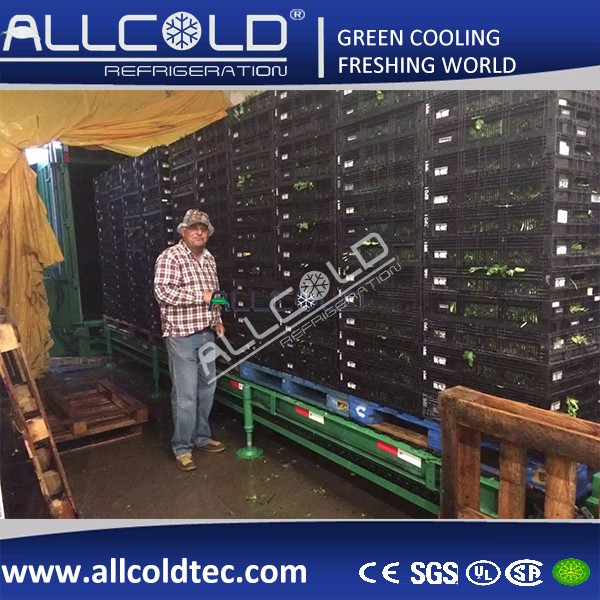 Vegetable/Cut Flower/Mushroom Vacuum Cooler(1Pallet-24 Pallets)
