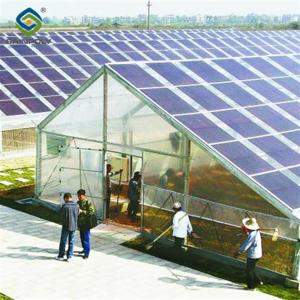 Quality Strong Metal Frame Greenhouse Automatic Systems Solar Energy Green House wholesale