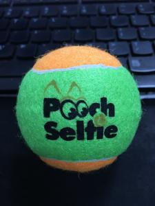 Quality dog toy ball tennis sports dog toy ball wholesale