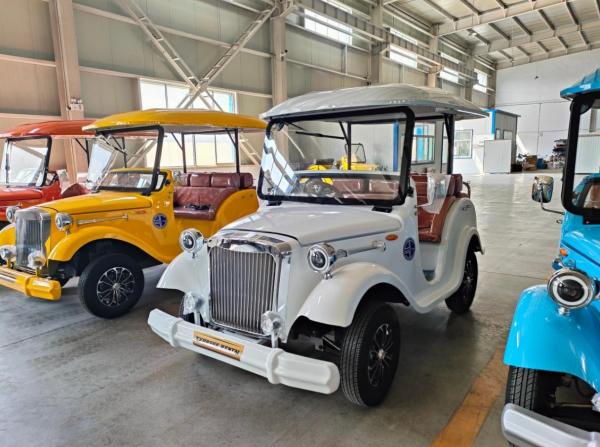 6 Seats Electric Vintage Car Lithium Utility Evolution Sightseeing Car Factory