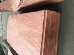 Bintangor veneer