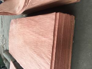 Quality bintangor veneer wholesale