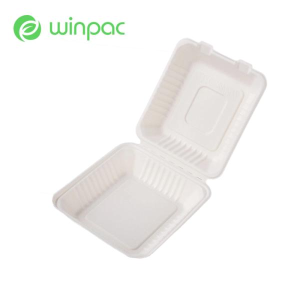 Disposable Biodegradable Take Away Food Container 6 Inch Sugarcane Bagasse Lunch