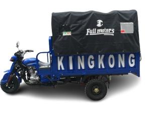 Quality 250cc Cargo Motor Tricycle 1.4x2.4m Electric Trike 5.00-12 Tyre Goods Shed wholesale