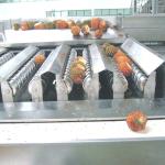 380V 50Hz Pineapple Processing Line For Concentrated Juice