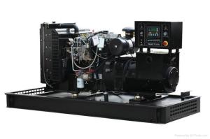 Quality 25kw Diesel Engine Lovol Generators Electric Genset Standby Power wholesale