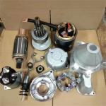 Electric Small Engine Alternator Motor Casting 2357133 2871A703
