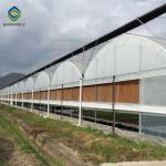 6mm Plastic Polyethylene Film Greenhouses With Irrigation System