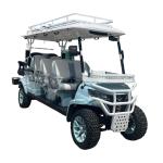 8 Seater Electric Golf Cart White Light Blue Contrast Stitching Custom Model