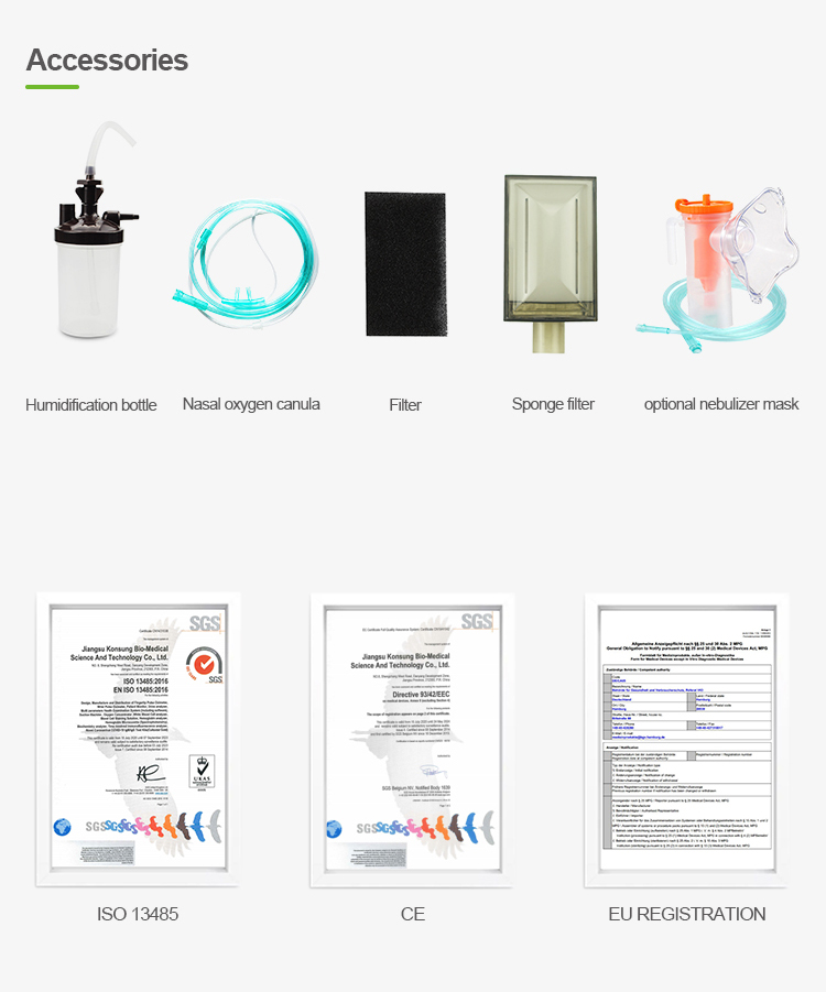 High Flow 10L Dual Flow Oxygen Concentrator 750 VA For Two Persons Use