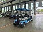 60V Battery Powered Lithium Golf Cart for 6 Passengers