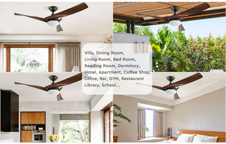 ceiling fan