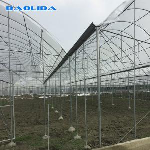 Quality High Tunnel Agricultural Farming Multi Span Greenhouse For Flowers Growing wholesale