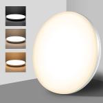 24w Tuya Smart Ceiling Light Colorful Rgb Remote Control Smart Light Led Modern