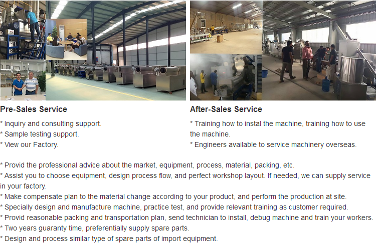 Simens Main Motor Controlled Automatic Dog Pet Food Making Machine for Production