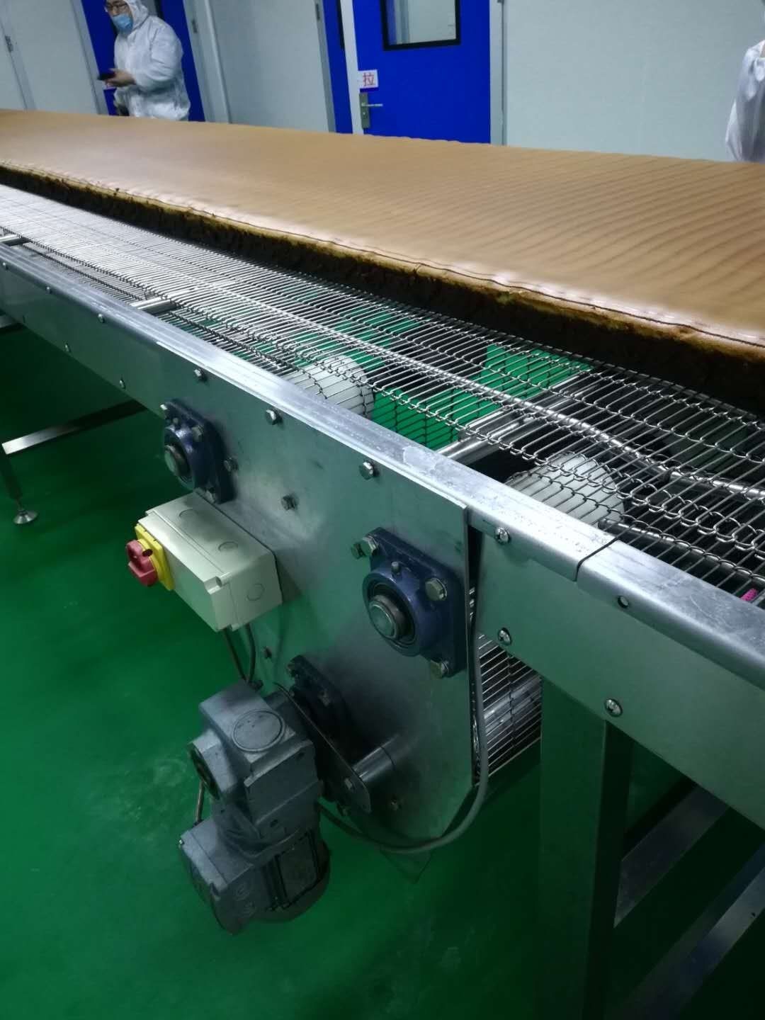 Independent Controlled FDA SUS304 Food Industry Conveyors