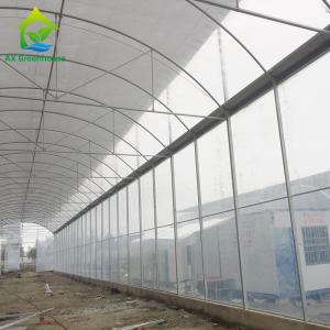 Quality Single Span Commercial Polytunnel Plastic Film Greenhouse Farming wholesale