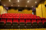High Wear Resistance Theater Room Seating Flexible Plastic Armrest Color Non