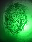 3000W Power Source COB LED Fishing Lights for Deep Sea Night Fishing 100m Depth