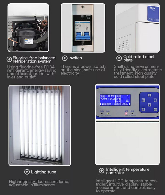 OEM Lab Insect Climatic Chamber 5000LX Climate Controlled Plant Growth Chamber