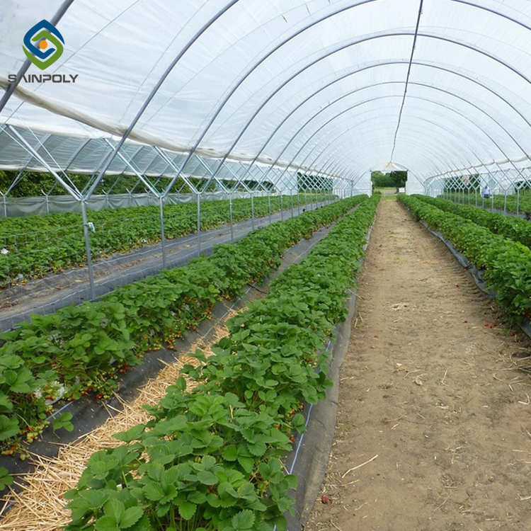 0.20mm Cucumber Plant Pe Film Single Tunnel Greenhouse