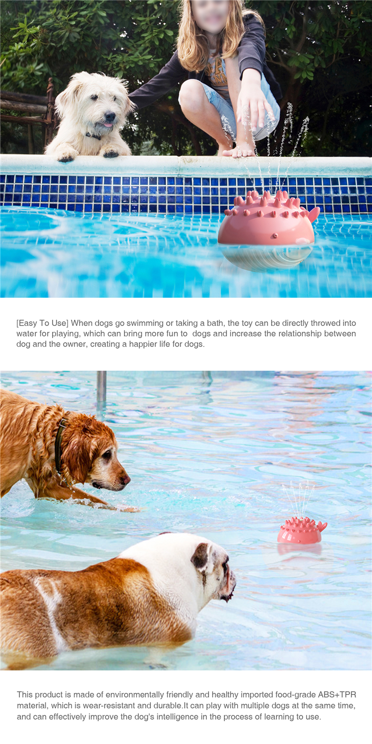 Hot Sale New Little Crocodile Spray Toy Water Dog Toy For Summer Dogs