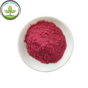Quality black currant juice powder buy best health benefits supplement products drink freeze dried blackcurrant powder wholesale