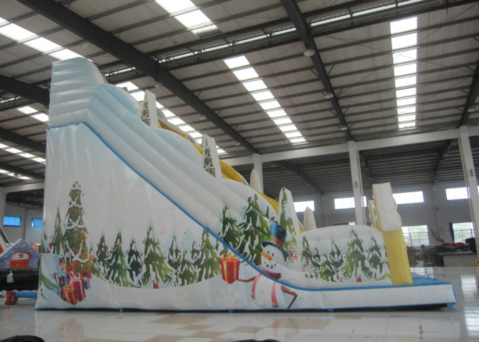 Snow Mountain Big Inflatable Water Slides , Amusement Park Commercial Grade Water Slide