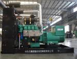 High Performance Natural Gas Power Plant CHP Unit