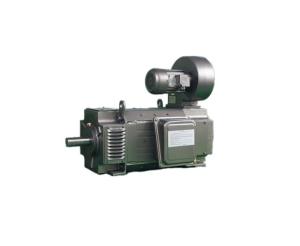 Quality H100 H450 Frame DC Motors Z4 112/2-2 3kW 160V Squirrel Cage Asynchronous Motor wholesale