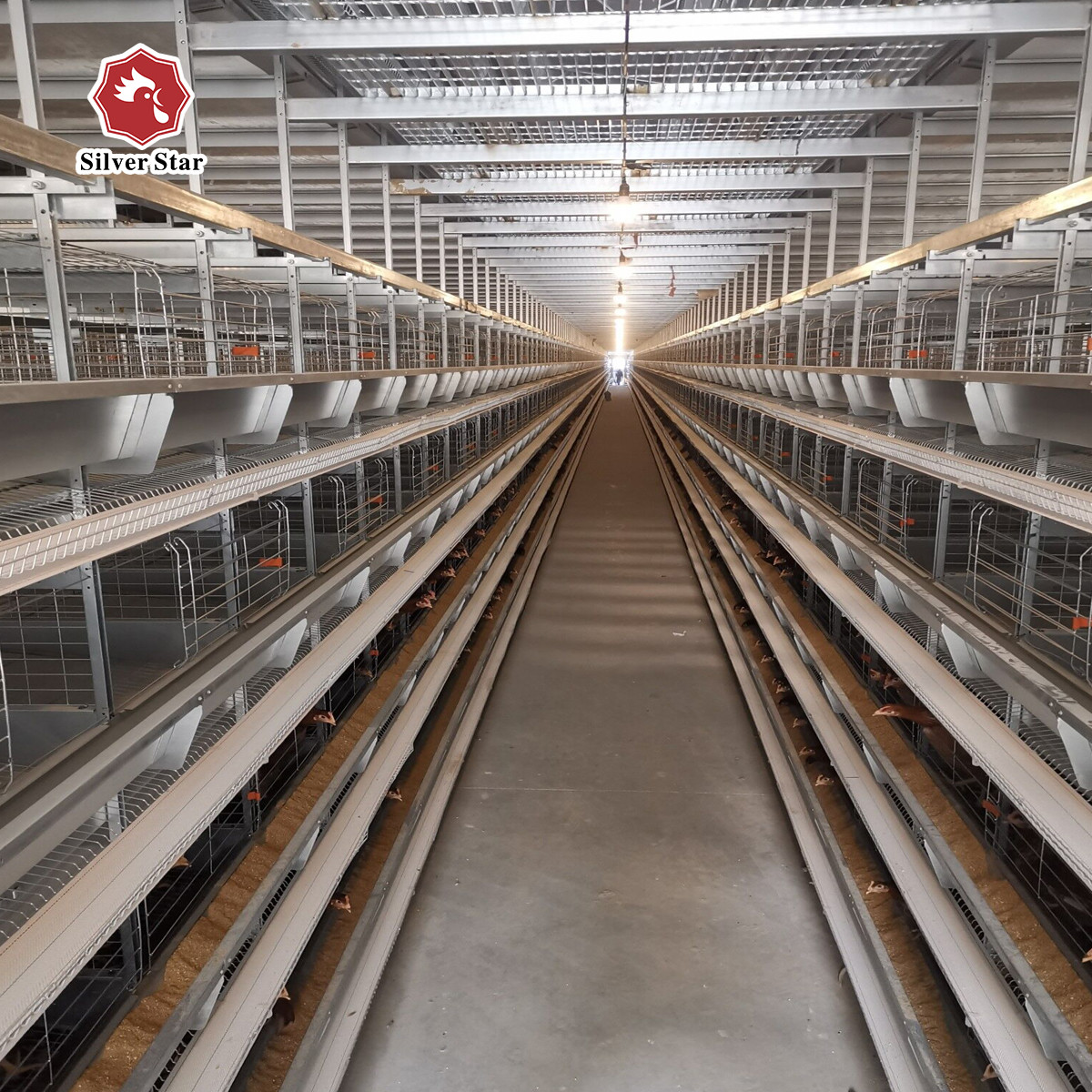 65*62.5*50 Cm Size Battery Cage Chicken Farming For Rearing House