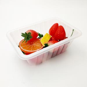 Quality OEM Polypropylene 20*14*5.5cm Disposable Fruit Tray wholesale