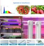 IP65 18W 30W 36W T8 LED Grow Tube Light SMD2835 Blue and Red Custom Spectrum