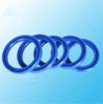 Customized Double Lips FKM Silicone Rubber Lip Seal