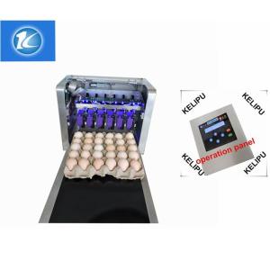 Quality Safety Egg Continuous Inkjet Printer , Digital Inkjet Printing Machine wholesale