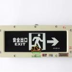 Hazardous Area Flameproof Emergency Light 3W Rechargeable 3.6V