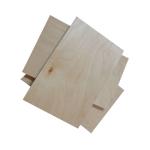 Full Hardwood Core MR 12mm Film Faced Birch Plywood