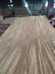 sell Dillenia face veneer