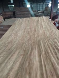 Quality sell Dillenia face veneer wholesale