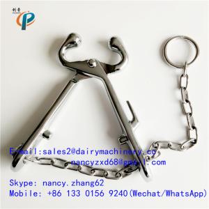 Quality Carbon steel nose tongs for cattle, calf nose clamp , nose grips for cow holding , with chain wholesale